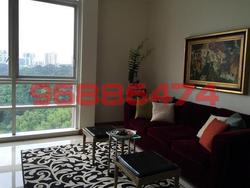 scotts-28 photo thumbnail #12